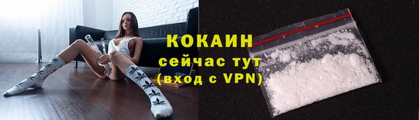 шишки Осинники