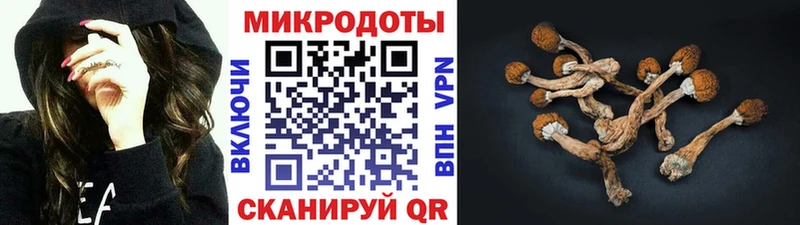 Галлюциногенные грибы Cubensis  Покров 